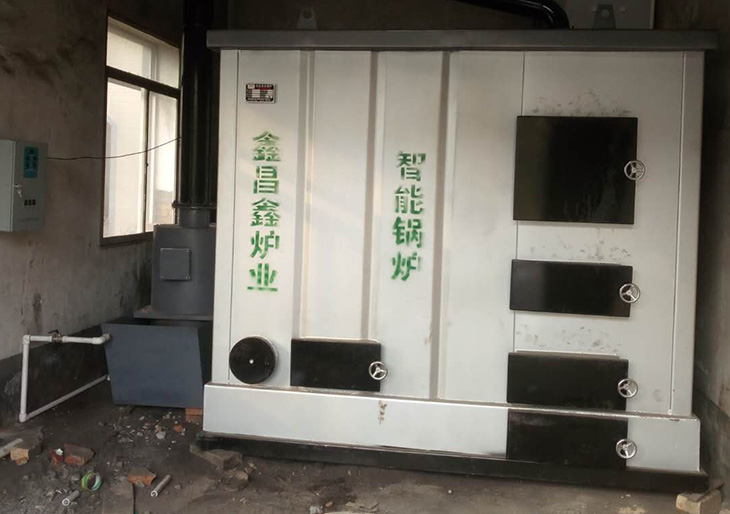 燃煤環(huán)保鍋爐8