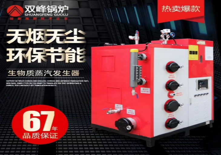 生物質(zhì)蒸汽發(fā)生器